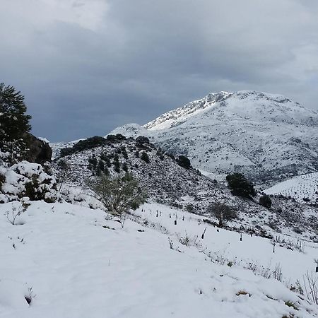 Finca Las Morenas Yunquera Екстер'єр фото