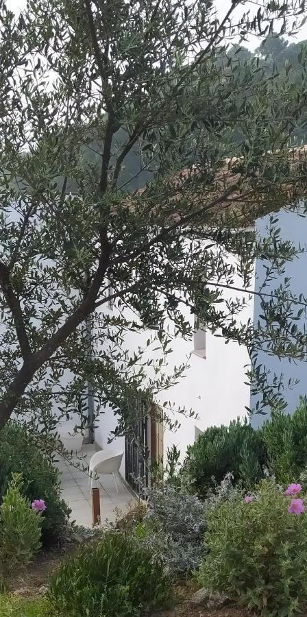 Finca Las Morenas Yunquera Екстер'єр фото