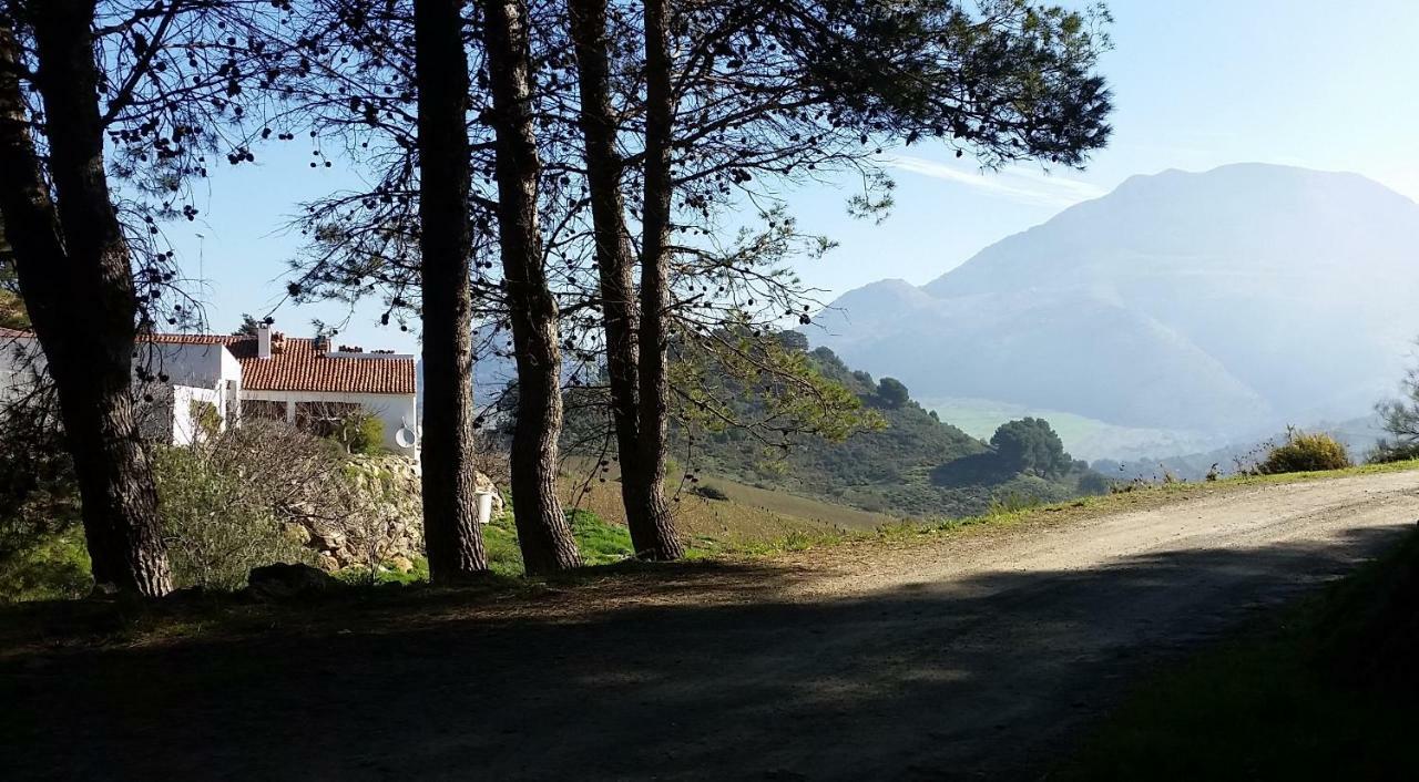 Finca Las Morenas Yunquera Екстер'єр фото