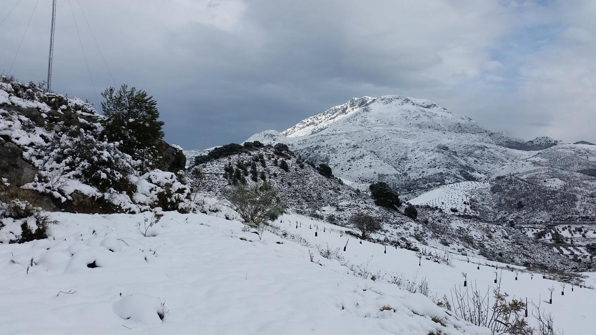 Finca Las Morenas Yunquera Екстер'єр фото